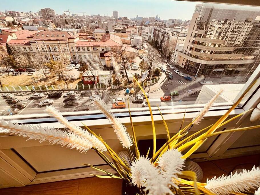 City View Studio In The Heart Of Bucharest Leilighet Eksteriør bilde